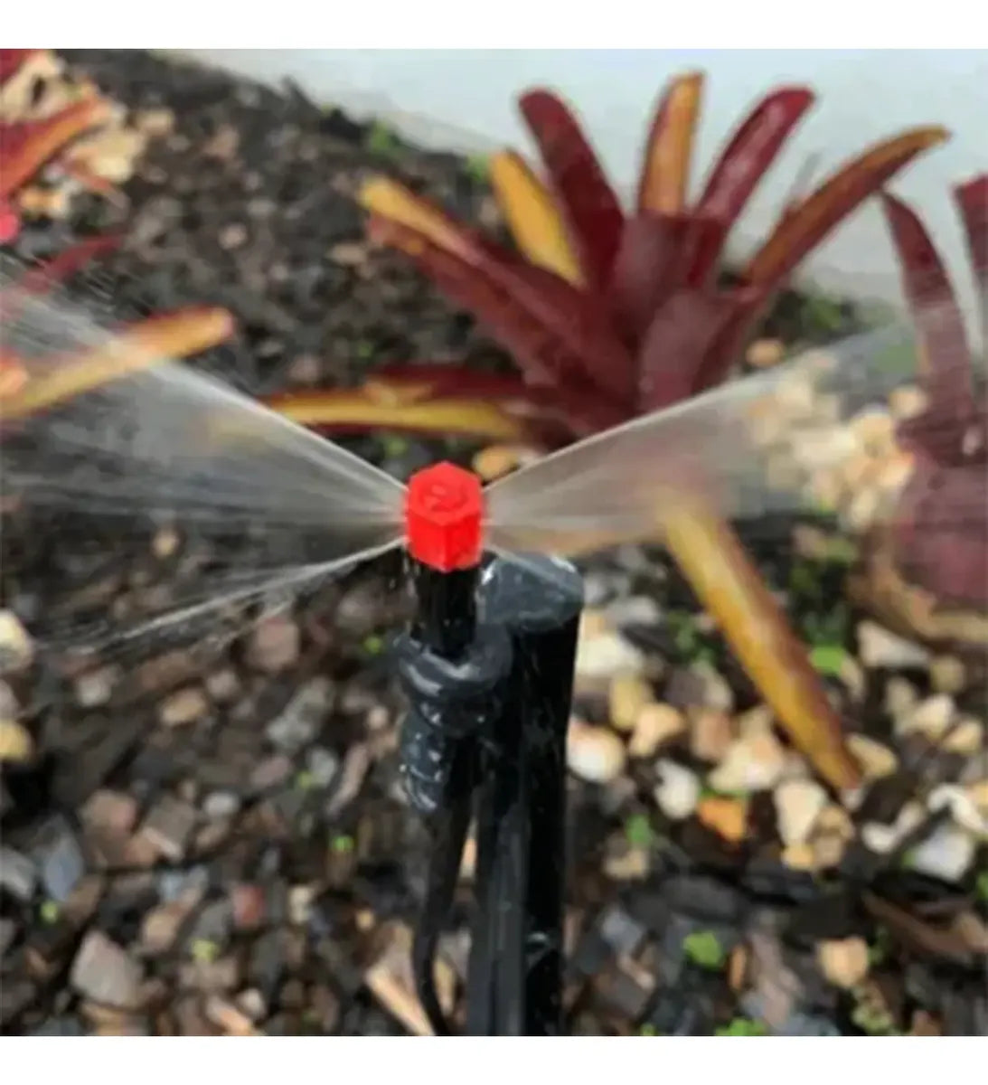 Micro Spray Jet Vermelho PTI — Nebulização para Estufas, Viveiros e Propagação