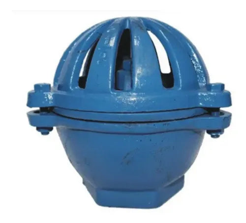Válvula de Poço Ferro Fundido 1.1/2" Fal Bombas — Válvula de Pé com Crivo para Sucção