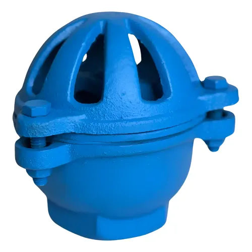 Válvula de Poço Ferro Fundido 4" Fal Bombas — Válvula de Pé com Crivo para Sucção
